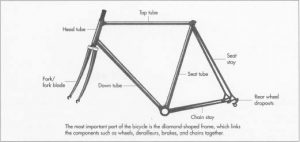 The frame is the most important part of the bicycle