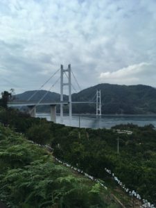 riding the Shimanami Kaido