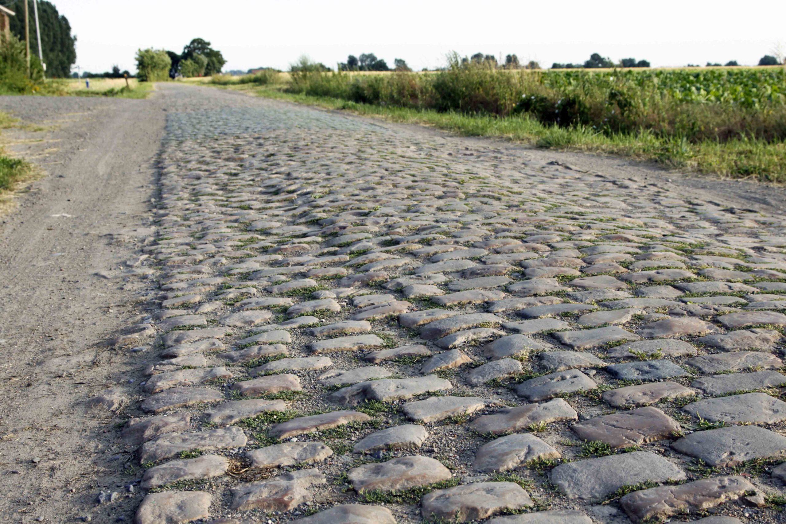 Paris-Roubaix Femmes 